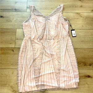 Adrianna Papell Sleeveless Blouson Beaded Plus Size Dress in Blush 22W